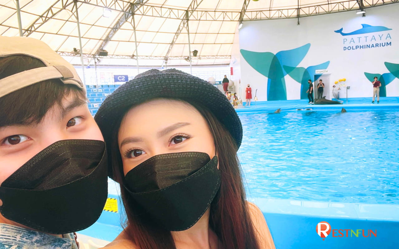 Dolphin show in Pattaya with Pattaya Dolphinarium